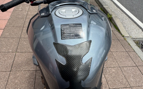 BMW S1000R 2024 0E51