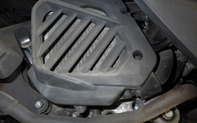 HONDA LEAD 125 2019 JF45