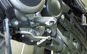 HARLEY RH975S 2023