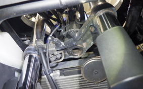 KAWASAKI NINJA 250 ABS 2022 EX250L