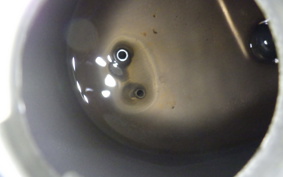 HONDA C50 TRIKE AA01