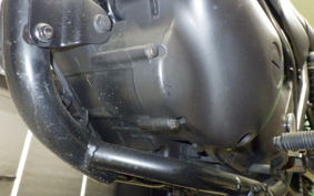 KAWASAKI 250TR 2021 BJ250F