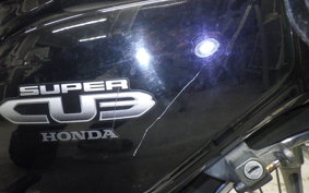 HONDA C110 SUPER CUB 2009 JA10