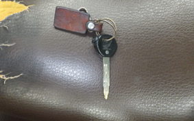 HONDA CREA SCOOPY 2017 AF55