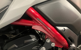 KAWASAKI Z900 2022 ZR900B