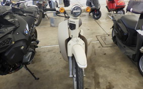 HONDA C110 SUPER CUB JA59