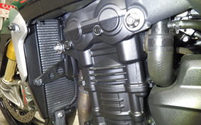 TRIUMPH SPEED TRIPLE RS 2021