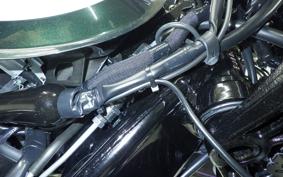 KAWASAKI W800 2020 EJ800B