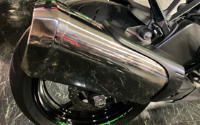 KAWASAKI NINJA ZX-6R 2019 ZX636G