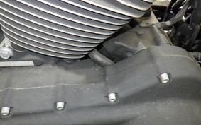 HARLEY XL1200RI 2007