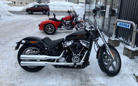 HARLEY FXST1340-1450 2025 BVJ