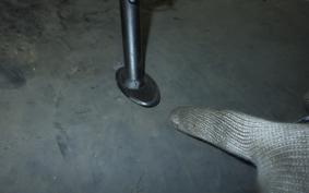 KAWASAKI NINJA 1000 SX 2024 ZXT02K