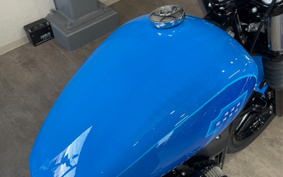 HARLEY FXBBS 2022 YYK