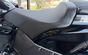 HARLEY FXDR114 2019 YVK