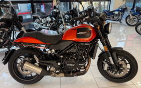 HARLEY X500 2024 W5B