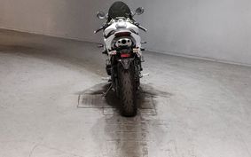 TRIUMPH DAYTONA675 TMD106