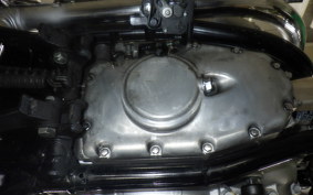 KAWASAKI W800 2025 EJ800E