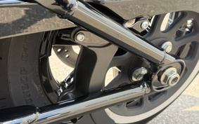 HARLEY FXBBS 2024 YYK