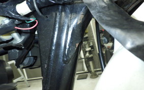 KAWASAKI 250TR 2021 BJ250F