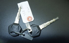 YAMAHA YZF-R25 2025 RG43J