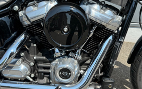 HARLEY FXST1340-1450 2022 BVJ