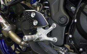 YAMAHA YZF-R25 1996 RG10J