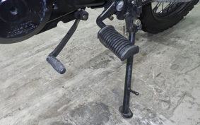 OTHER +MUTTｻﾊﾞｽ250