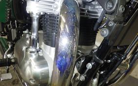 KAWASAKI W800 2024 EJ800E