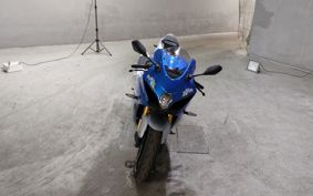 SUZUKI GSX-R1000R 2019 DM11G