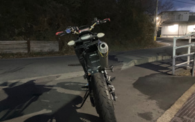 YAMAHA WR250X DG15J