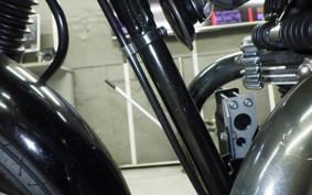 KAWASAKI W800 2011 EJ800A
