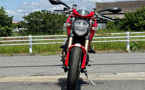 DUCATI MONSTAR 1100EVO 2012