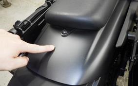 KAWASAKI ELIMINATOR400-3 2024 EL400A