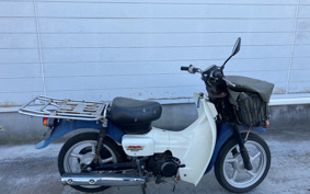 SUZUKI  NEW 聞 BIRDIE 50 BA43A