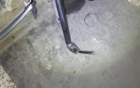 YAMAHA YZF-R25 RG43J