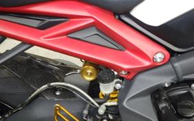 TRIUMPH DAYTONA 675 R 2015