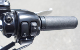 HARLEY FXDL1580 2007 GN4