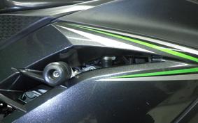 KAWASAKI NINJA 250 EX250L