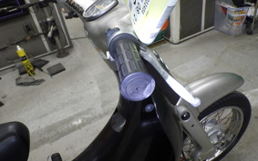 HONDA LITTLE CUB E 2017 AA01