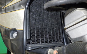 KAWASAKI KLX250 2025 LX250E