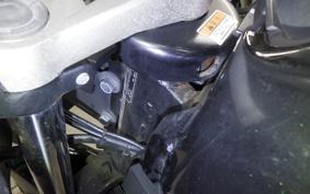 SUZUKI GSX-R125 2007 DL33B