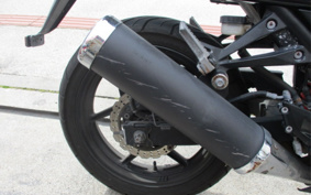 KAWASAKI NINJA 250R EX250K