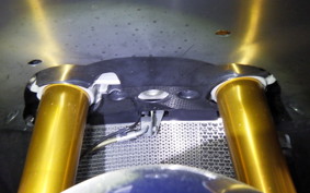 SUZUKI GSX-R1000R A 2019 DM11G