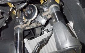 YAMAHA YZF-R25 A 2007 RG43J