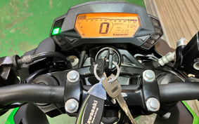 KAWASAKI Z250 SL BR250E