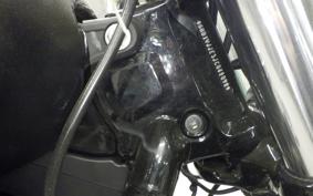 HARLEY FXBB1750 2019