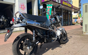 HONDA  DUX 125 JB04