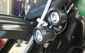 YAMAHA WR250X 2022 DG15J