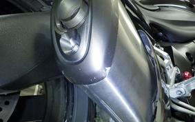 SUZUKI GSX-S1000F 2015