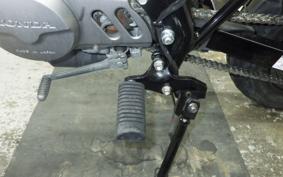 HONDA APE 50 AC16
